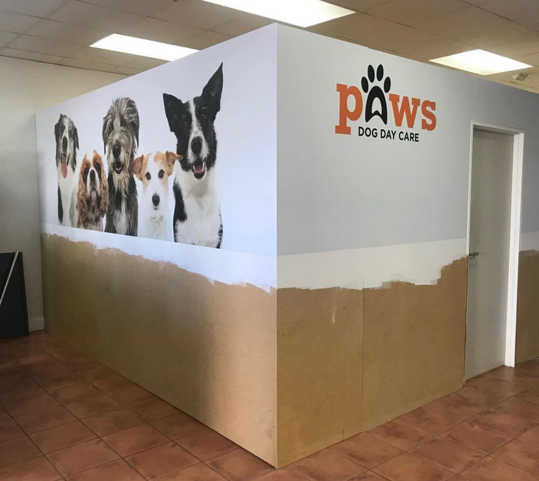 paws dog day care